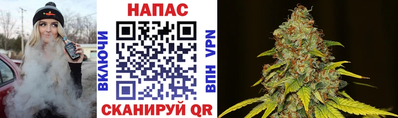 Каннабис SATIVA & INDICA  Любань 